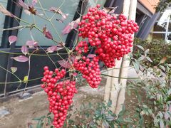 -上海滴水湖皇冠假日酒店