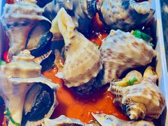 捞汁海螺-华府九号海鲜烧烤大排档(龙域店)