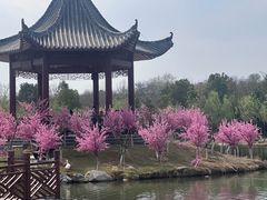-木兰水镇旅游景区