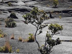 -夏威夷火山国家公园