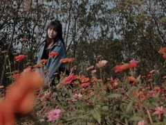 -盘龙城国家考古遗址公园