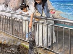 -福州罗源湾海洋世界旅游区