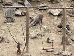 -栾川竹海野生动物园