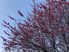 -星巴克(宁波江东天伦店)