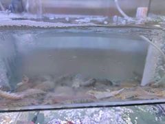 -林记海鲜排档·十年海鲜地标