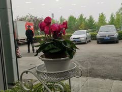 -北京之星奔驰4S店(亦庄店)