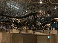 -世界恐龙谷景区