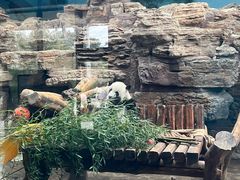 -石家庄市动物园