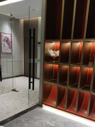 -深圳米兰柏羽医疗美容医院