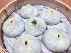 时令野菜汤包-屋有鲜