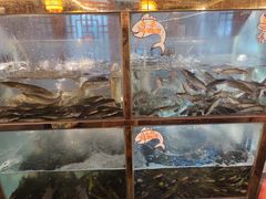 -三道苗苗鱼·美蛙黄辣丁(八里店)