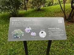 -云溪植物园
