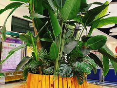 -陕西省小天鹅艺术团