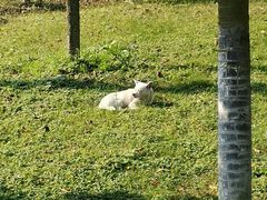 -成都中医药大学(温江校区)