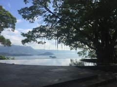 -大埔公路-马料水段香港中文大学(公交站)