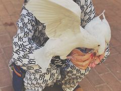 -王府井奥莱临潼小镇(临潼店)