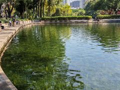 -晓港公园