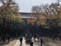 -灵谷景区