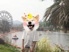 -枫香湖儿童公园