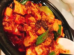 -陈麻婆豆腐总店