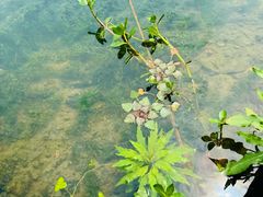 -东钱湖旅游度假区