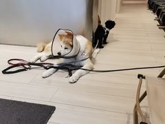 -YCHL Studios健身工作室(市二宫店)