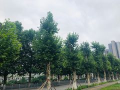 -龙头寺公园