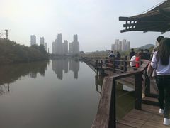 -前关湿地公园