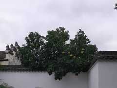 -东梓关景区村庄