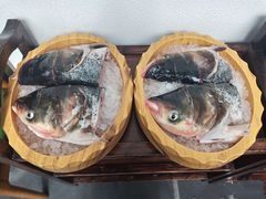 花鲢净鱼头-星湖特色餐厅· 三岔湖环球融创天堂洲际酒店