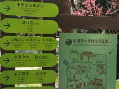 -中国茶叶博物馆(双峰馆区)