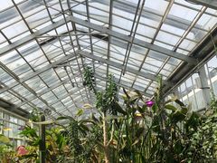 -国家植物园南园