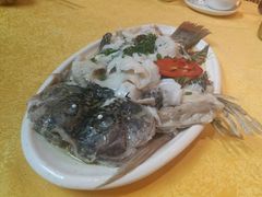 -鸽王世家(东华东路店)