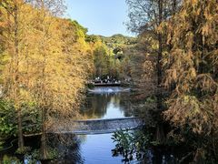 -云溪植物园