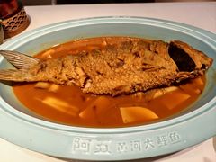 -阿五黄河大鲤鱼(英协路店)