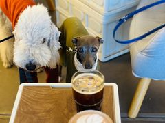 -Dinoo 片场咖啡(酒仙桥店)