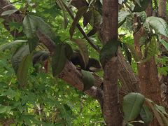 -佛慧山