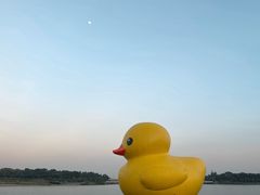 -深圳人才公园