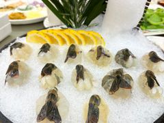 -丰尔粥食·顺德鱼生·干蒸排骨顺德菜(大良分店)