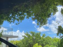 -芒洲湿地公园