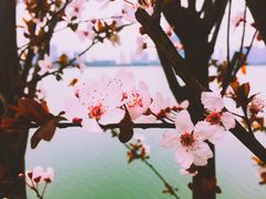 -艾溪湖湿地公园