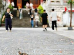 -宝通禅寺