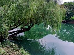 -贵阳市花溪国家城市湿地公园