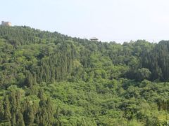 -原山国家森林公园