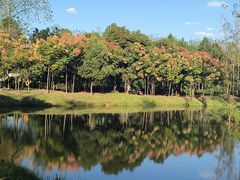 -合肥滨湖国家森林公园