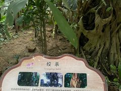 -南山植物园
