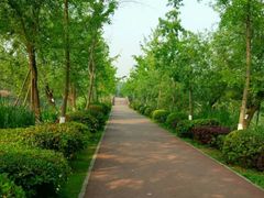 -白鹭湾湿地公园