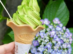 -鎌倉茶々(本店)