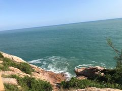 -广东惠东海龟国家级自然保护区