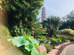 -广州莲花山旅游区